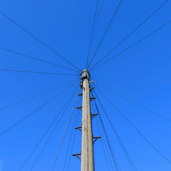 Surveyors Surveyors